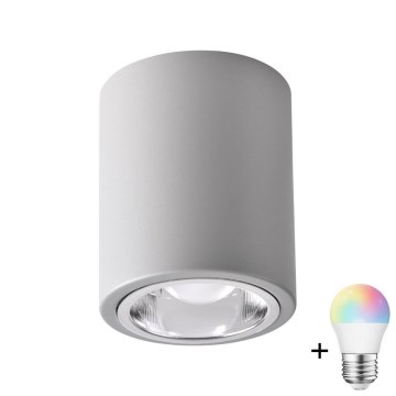 Faretto LED RGBW dimmerabile JUPITER 1xE27/6,5W/230V 2700-6500K Wi-Fi diam. 9,8 cm grigio