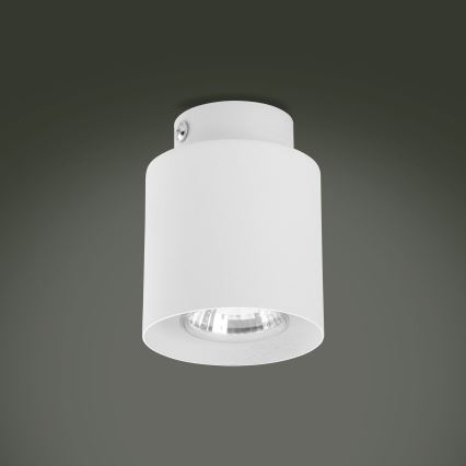 Faretto LED RGBW dimmerabile VICO WHITE 1xGU10/6,5W/230V 2700-6500K