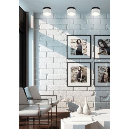 Faretto  LED  TUBA LED/9W/230V bianco/nero