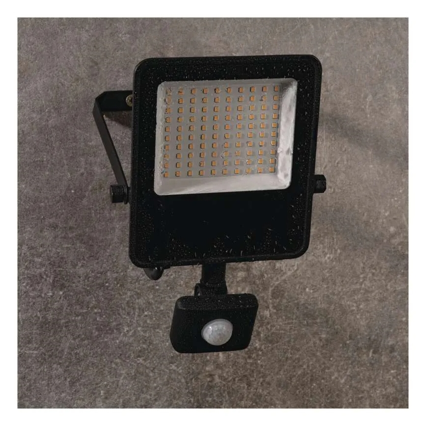 Faro LED con sensore VISIO LED/50W/230V 4000K IP65