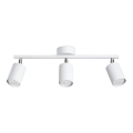 Faretto LEMMI 3xGU10/40W/230V bianco