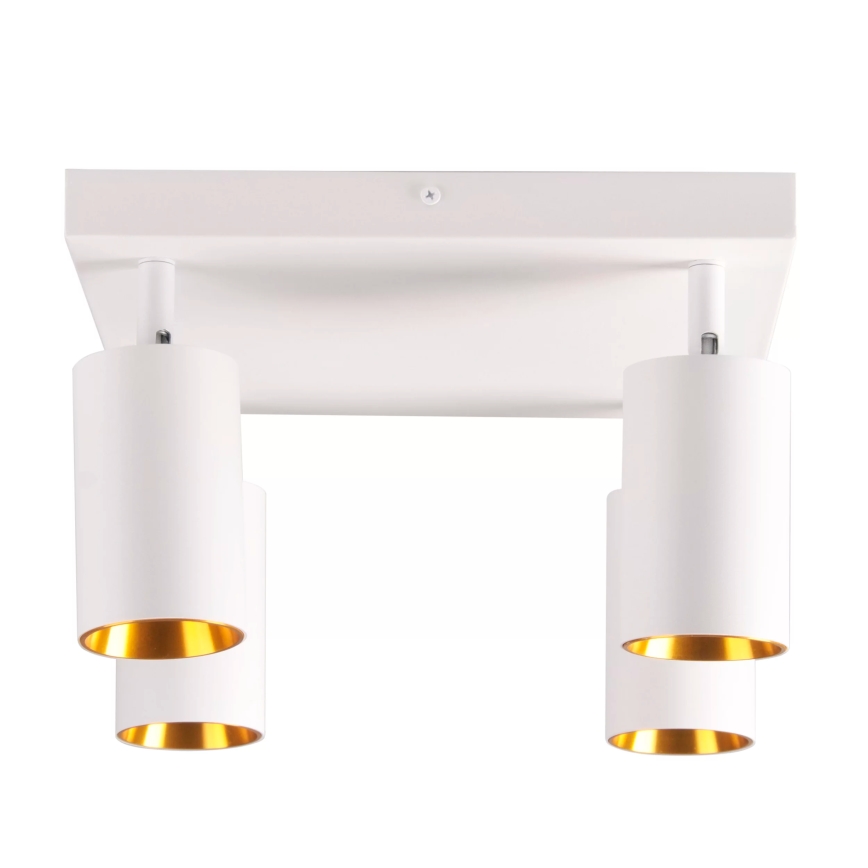 Faretto MARIBEL 4xGU10/10W/230V bianco