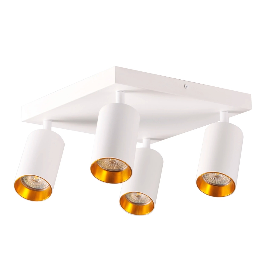 Faretto MARIBEL 4xGU10/10W/230V bianco