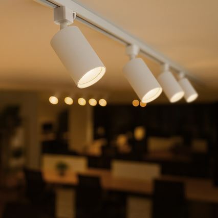 Faretto per sistema a binario monofase TIGER 1xGU10/10W/230V bianco