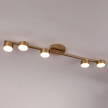 Faretto PUNTO 5xGX53/12W/230V oro