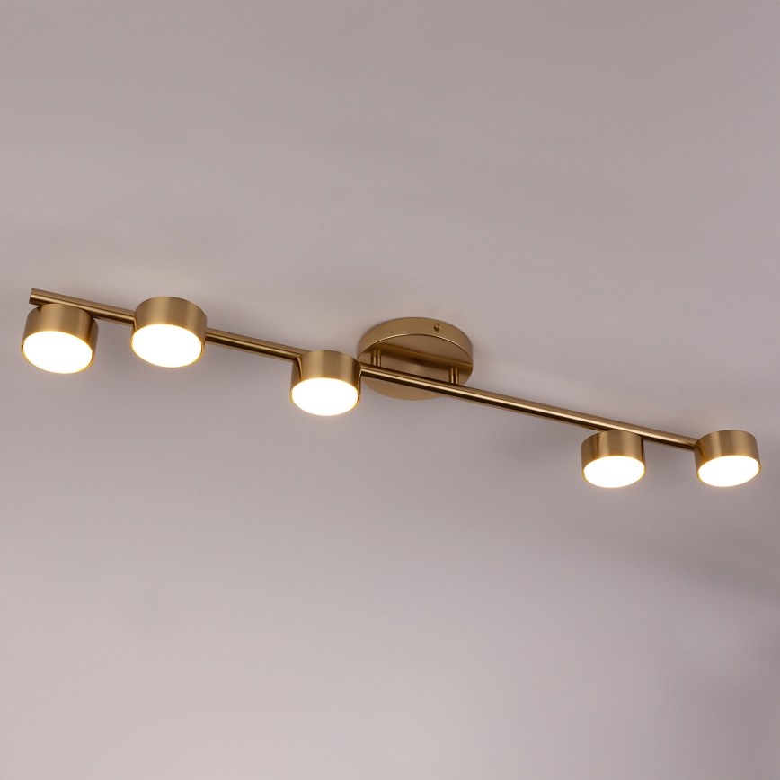 Faretto PUNTO 5xGX53/12W/230V oro