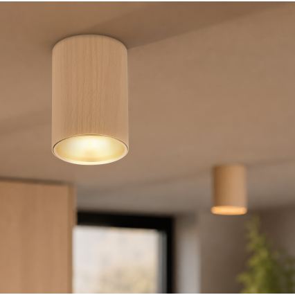 Faretto TUBE 1xGU10/15W/230V beige