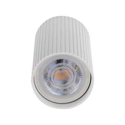 Faretto TUNE S 1xGU10/10W/230V 10 cm bianco