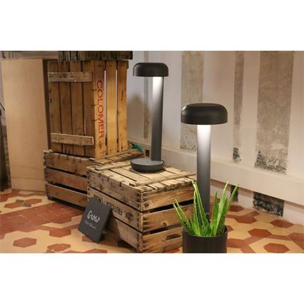 FARO 71206 - Lampada da esterno LED GROW LED/9W/230V IP65