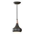 Feiss - Lampadario a sospensione BESO 1xE27/60W/230V Ø 17,9 cm nero/rame