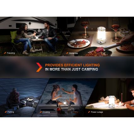 Fenix CL26RPROCAM - Lampada portatile ricaricabile LED dimmerabile LED/USB IP66 650 lm 408 h 5000 mAh grigio