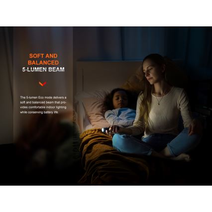 Fenix E28RV20 - Torcia elettrica ricaricabile LED dimmerabile LED/USB/2xCR123A IP68 1700 shiny 260 h 3400 mAh