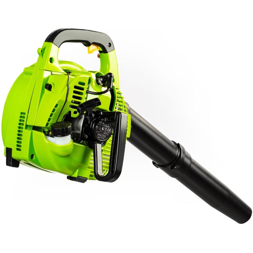Fieldmann - Aspiratore da giardino a benzina 800W