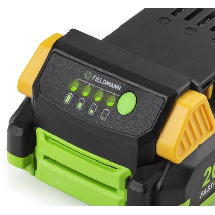 Fieldmann - Batteria 20V Li-Ion 2000 mAh