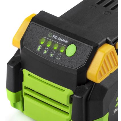 Fieldmann - Batteria 20V Li-Ion 4000 mAh