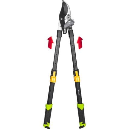 Fieldmann - Forbici da giardino telescopiche a leva