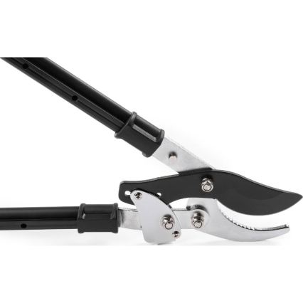 Fieldmann - Forbici da giardino telescopiche a leva