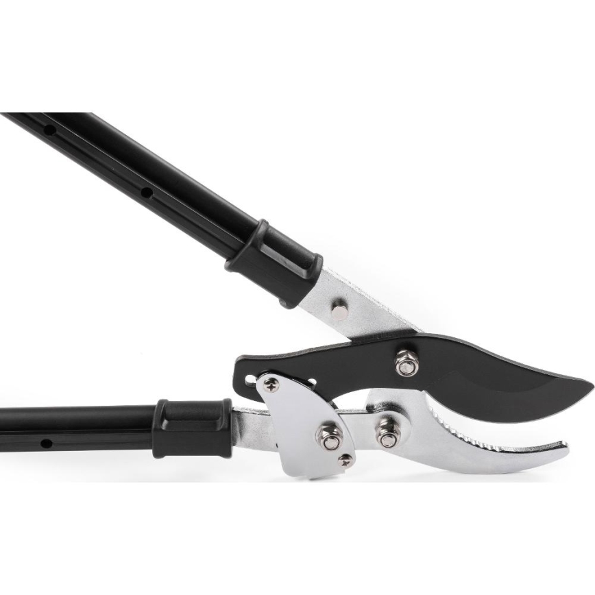 Fieldmann - Forbici da giardino telescopiche a leva