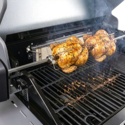 Fieldmann - Spiedo rotante con motore 230V in acciaio inox