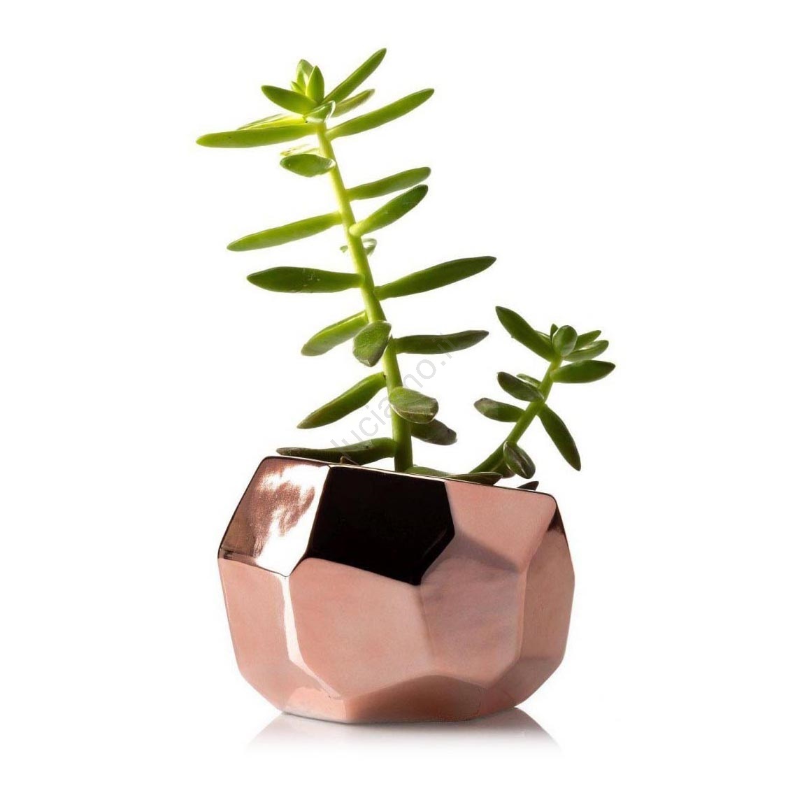 Vasi verde in ceramica per la decorazione della casa | Acquisti Online su