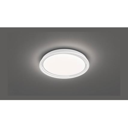 Fischer & Honsel 20807 - Plafoniera LED dimmerabile DUA LED/22W/230V