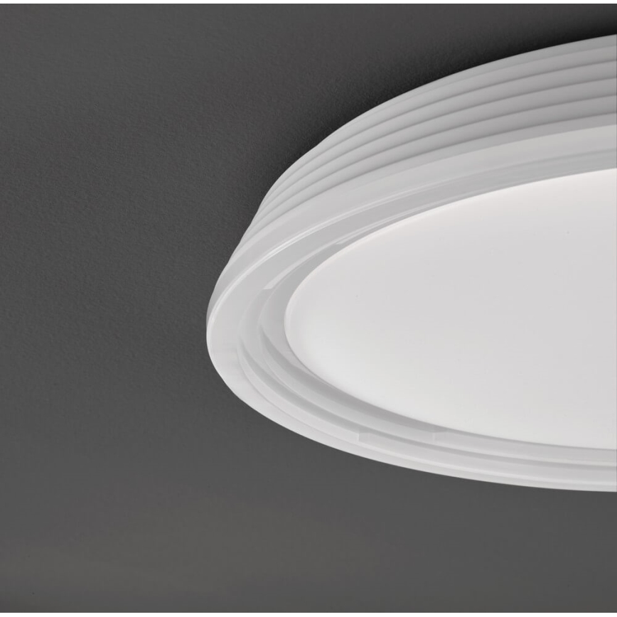 Fischer & Honsel 20807 - Plafoniera LED dimmerabile DUA LED/22W/230V