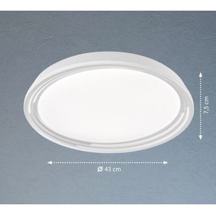 Fischer & Honsel 20807 - Plafoniera LED dimmerabile DUA LED/22W/230V