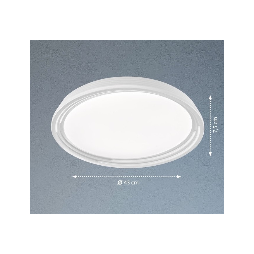 Fischer & Honsel 20807 - Plafoniera LED dimmerabile DUA LED/22W/230V