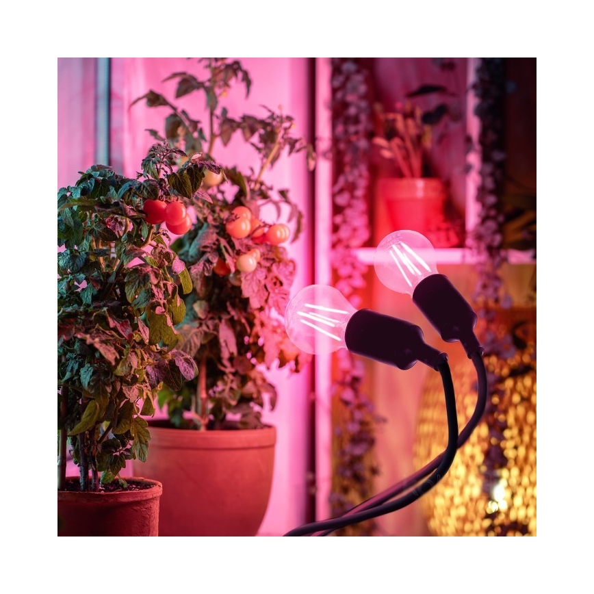 Flessibile lampada da tavolo con clip per la coltivazione di piante PLANTY 2xE27/30W/230V nero