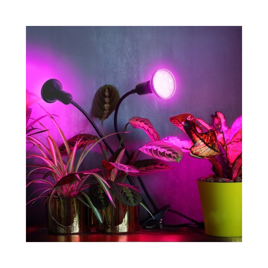 Flessibile lampada da tavolo con clip per la coltivazione di piante PLANTY 2xE27/30W/230V nero