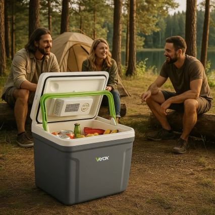 Frigorifero portatile per auto con funzione di riscaldamento 27 l 230V/12V/24V grigio