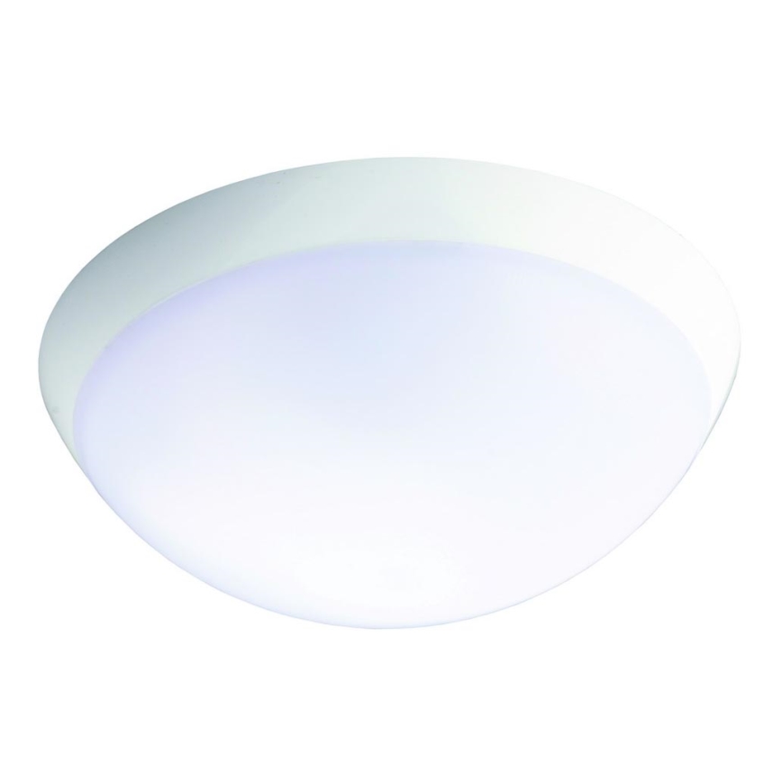 Fulgur 26233 - LED Luce di emergenza per impieghi gravosi con sensore ROMANA LED/20W/230V 2200 mAh IP64