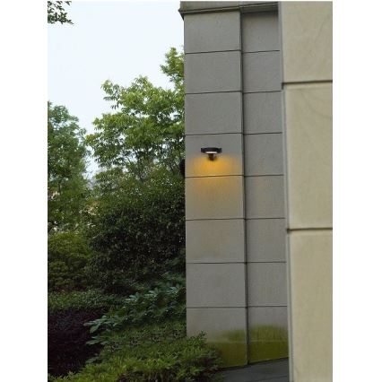 Gardino LX1241A - LED Applique da esterno MARGHERITA LED/15W/230V IP54