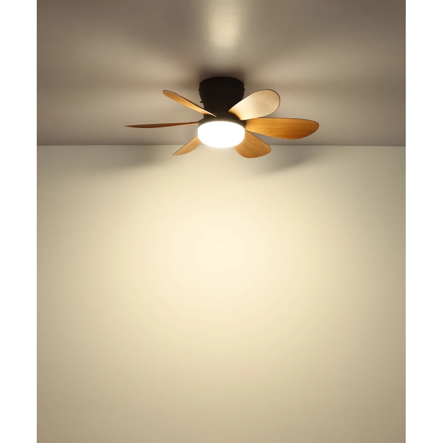 Globo - Ventilatore da soffitto dimmerabile LED/5W/230V 2700-6500K marrone + telecomando