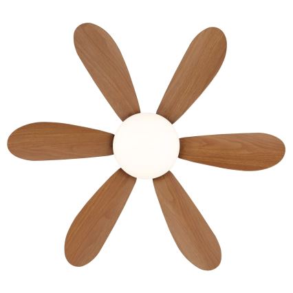 Globo - Ventilatore da soffitto dimmerabile LED/5W/230V 2700-6500K marrone + telecomando