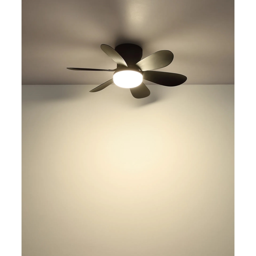 Globo - Ventilatore da soffitto LED dimmerabile LED/5W/230V 2700-6500K nero + telecomando