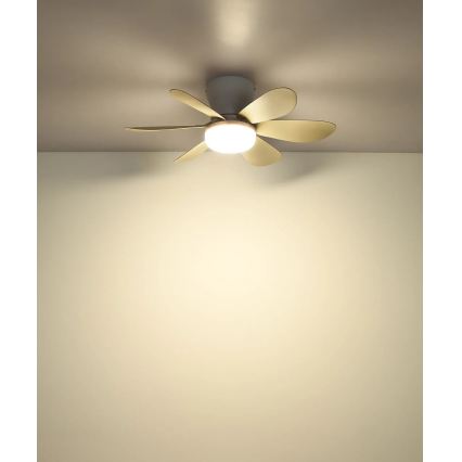 Globo - Ventilatore da soffitto dimmerabile a LED/5W/230V 2700-6500K beige + telecomando