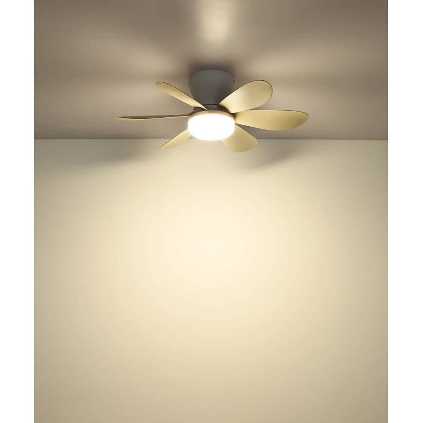 Globo - Ventilatore da soffitto dimmerabile a LED/5W/230V 2700-6500K beige + telecomando