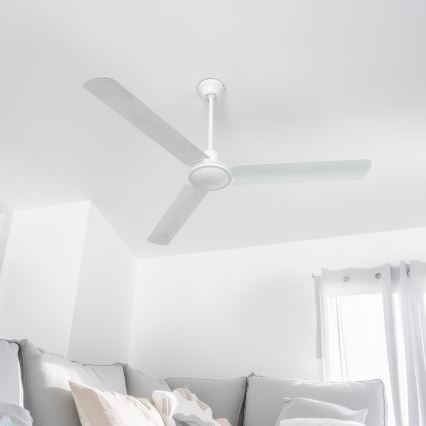 Globo 03806 - Ventilatore da soffitto FERRO