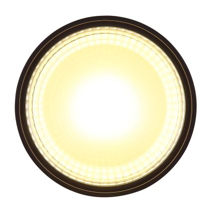 Globo - Plafoniera LED LED/12W/230V 3000K