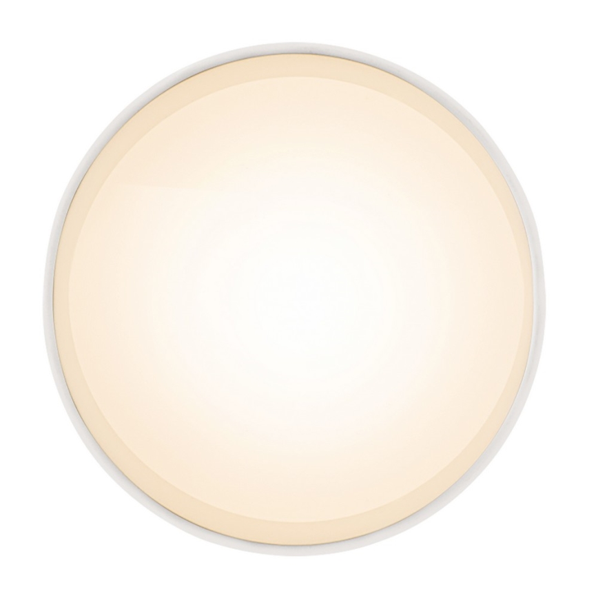 Globo 12015W - Plafoniera LED JENNY LED/8W/230V