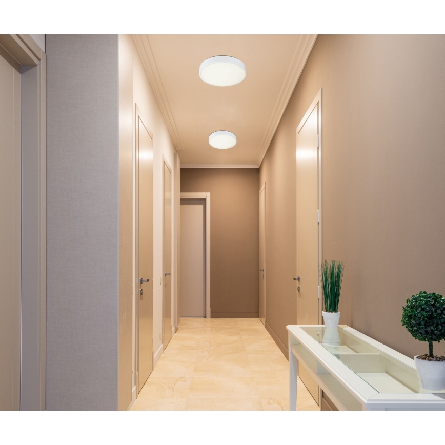 Globo 12364-30 - Plafoniera LED dimmerabile da bagno ARCHIMEDES LED/28W/230V IP44