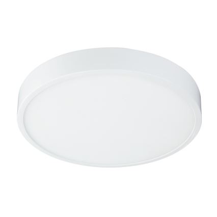 Globo 12364-30 - Plafoniera LED dimmerabile da bagno ARCHIMEDES LED/28W/230V IP44