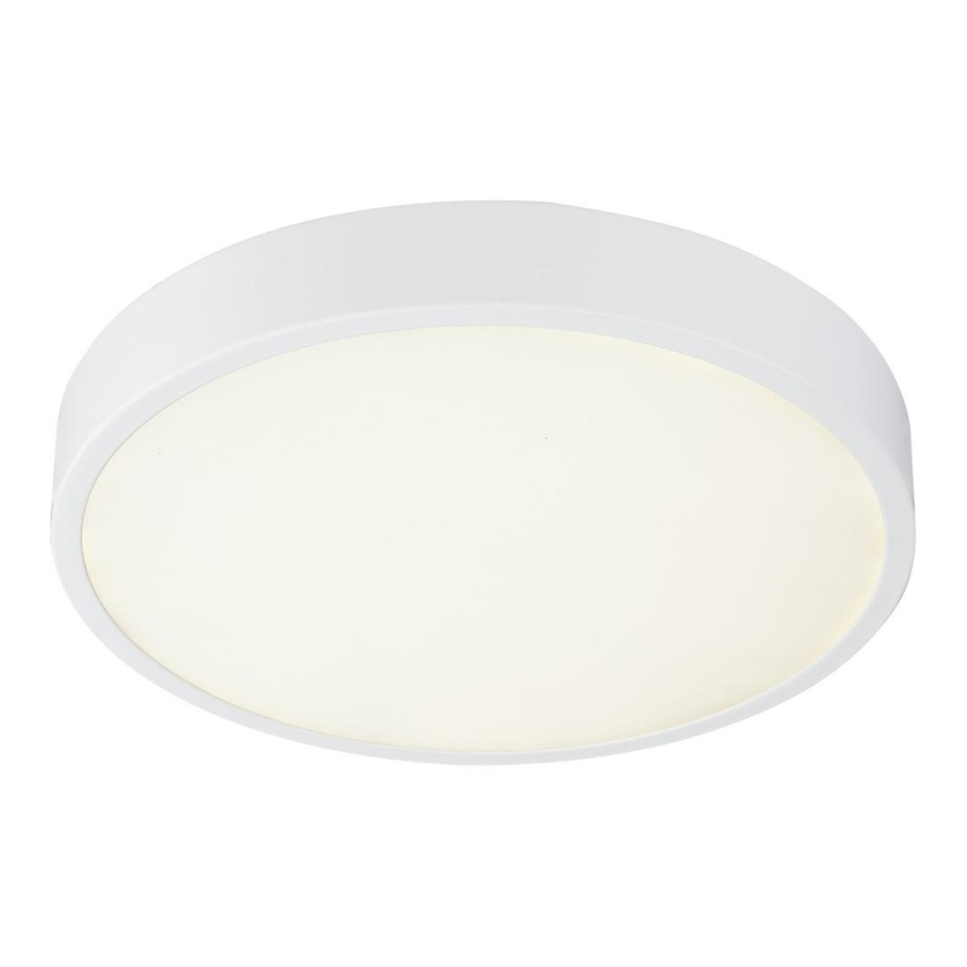 Globo 12364-30 - Plafoniera LED dimmerabile da bagno ARCHIMEDES LED/28W/230V IP44