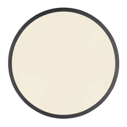Globo - Plafoniera LED dimmerabile LED/22W/230V