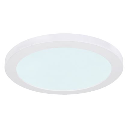 Globo - Plafoniera LED LED/24W/230V 3000/4000/6500K bianco