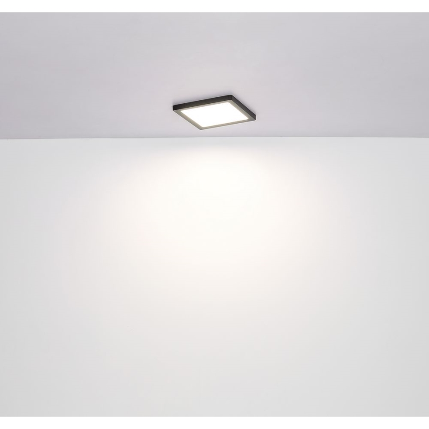 Globo - Plafoniera LED LED/18W/230V 3000/4000/6500K nero
