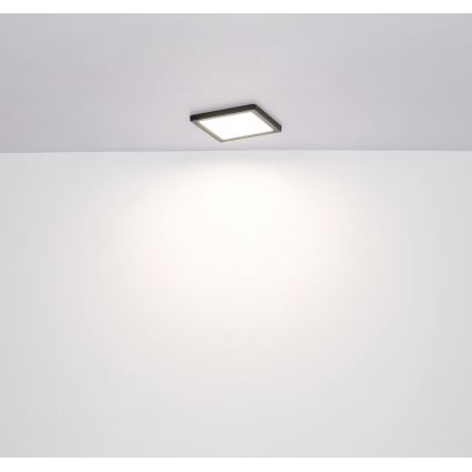 Globo - Plafoniera LED LED/24W/230V 3000/4000/6500K nero