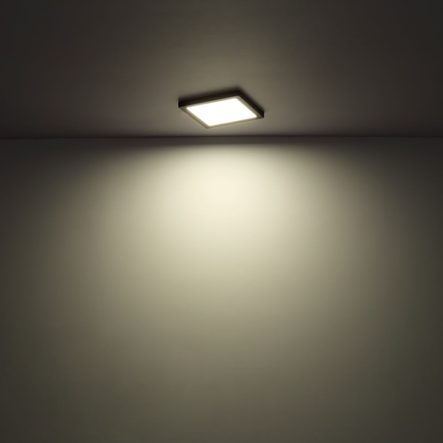 Globo - Plafoniera LED LED/24W/230V 3000/4000/6500K bianco