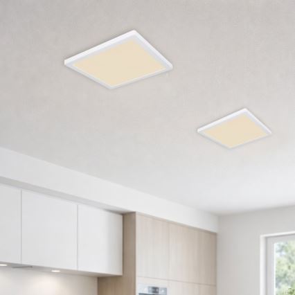 Globo - Plafoniera LED LED/24W/230V 3000/4000/6500K bianco